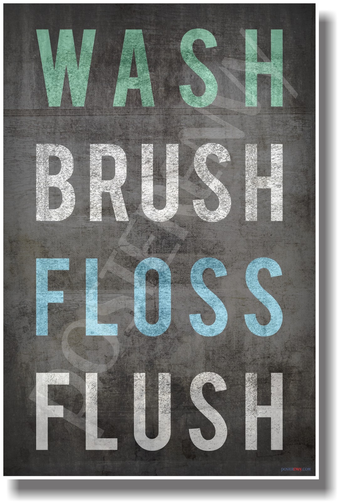 Wash Brush Floss Flush - NEW Health Poster