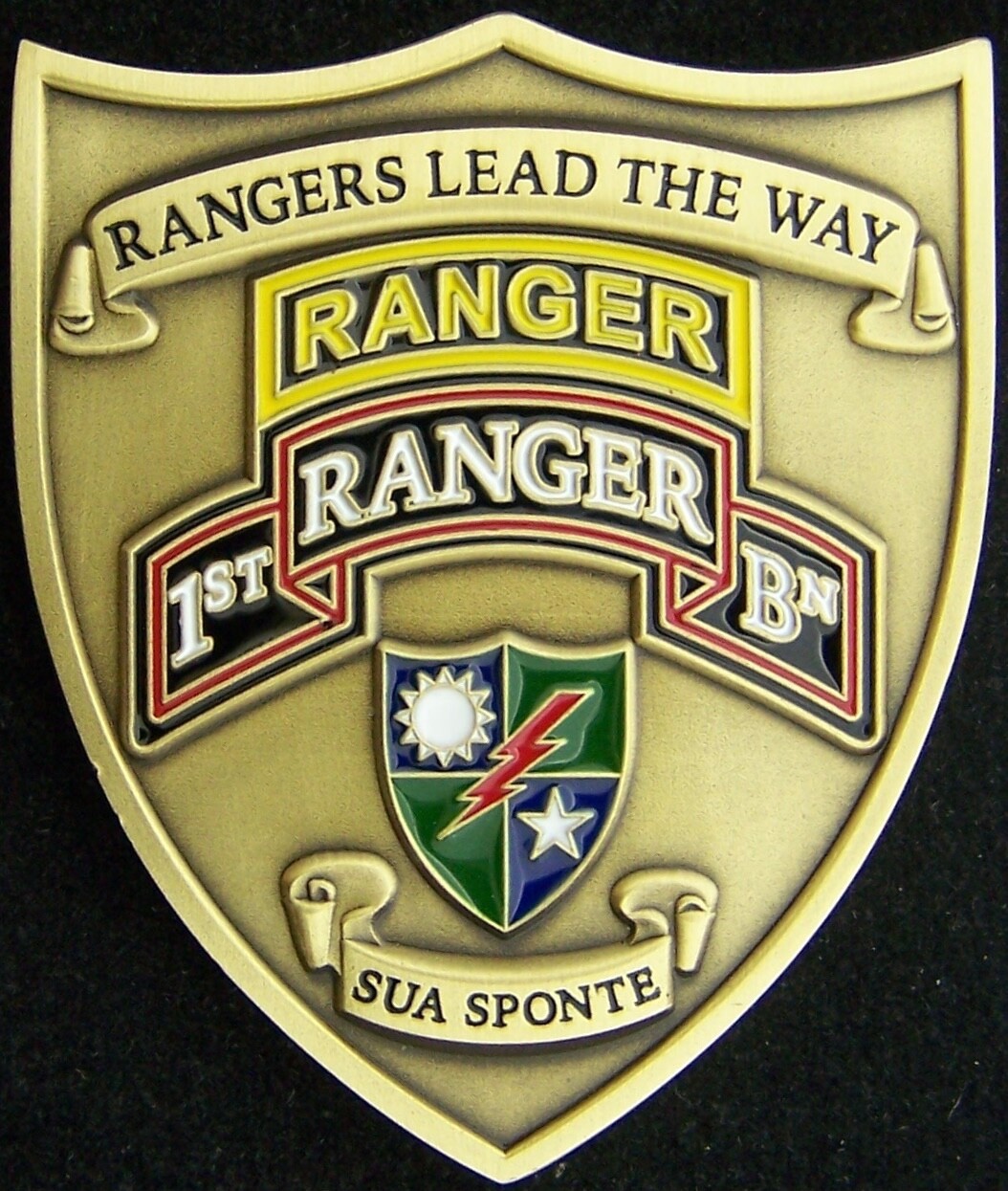 1st Battalion 75th Ranger Regiment Challenge Coin