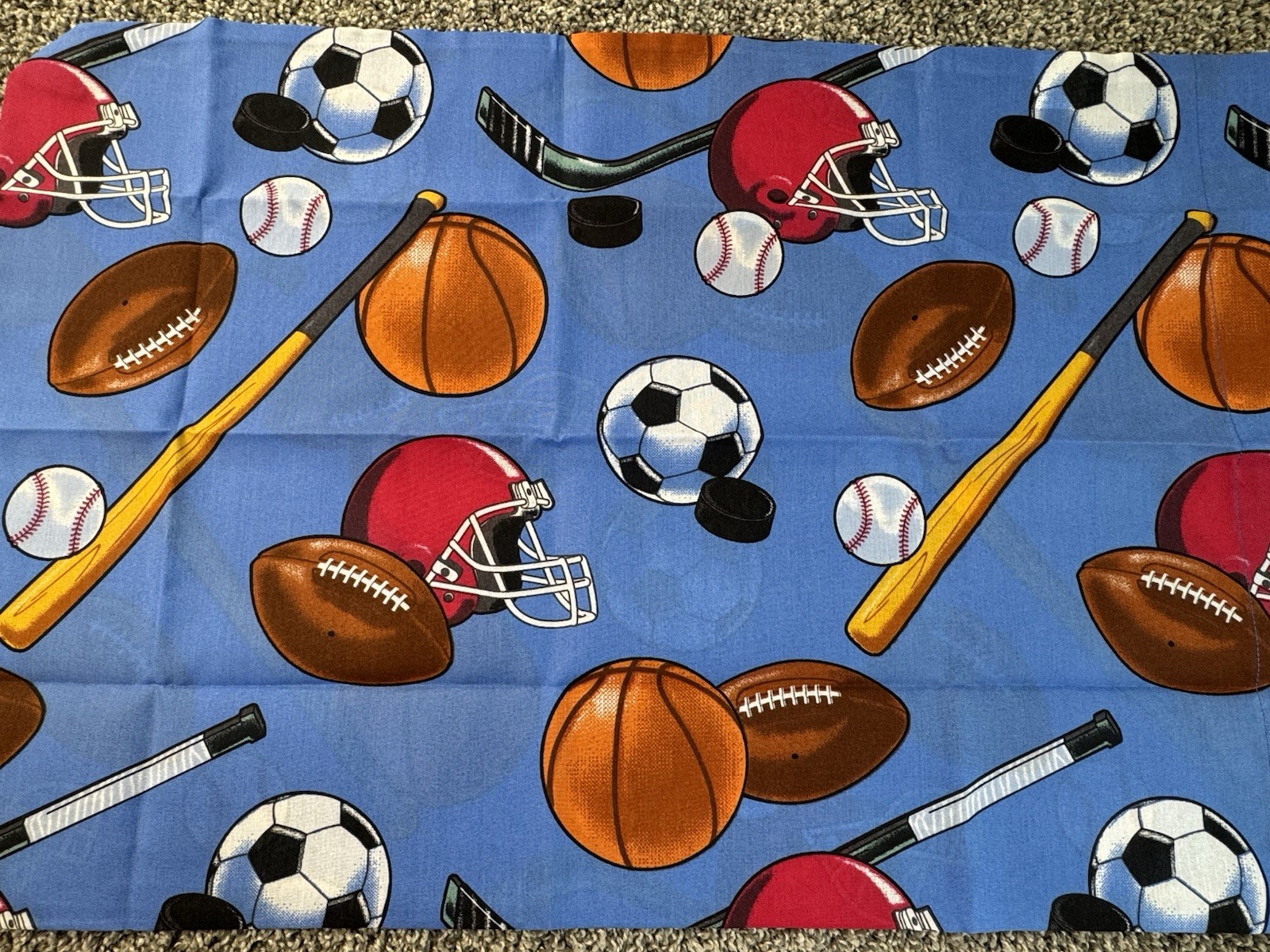 Dan River Sports World Standard Pillowcase Baseball Football Soccer Hockey NWOT