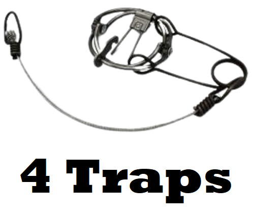 4 RBG #40 2.5 Body Grip Trap Single Spring Rat Trap Trapping Supplies 4 Traps
