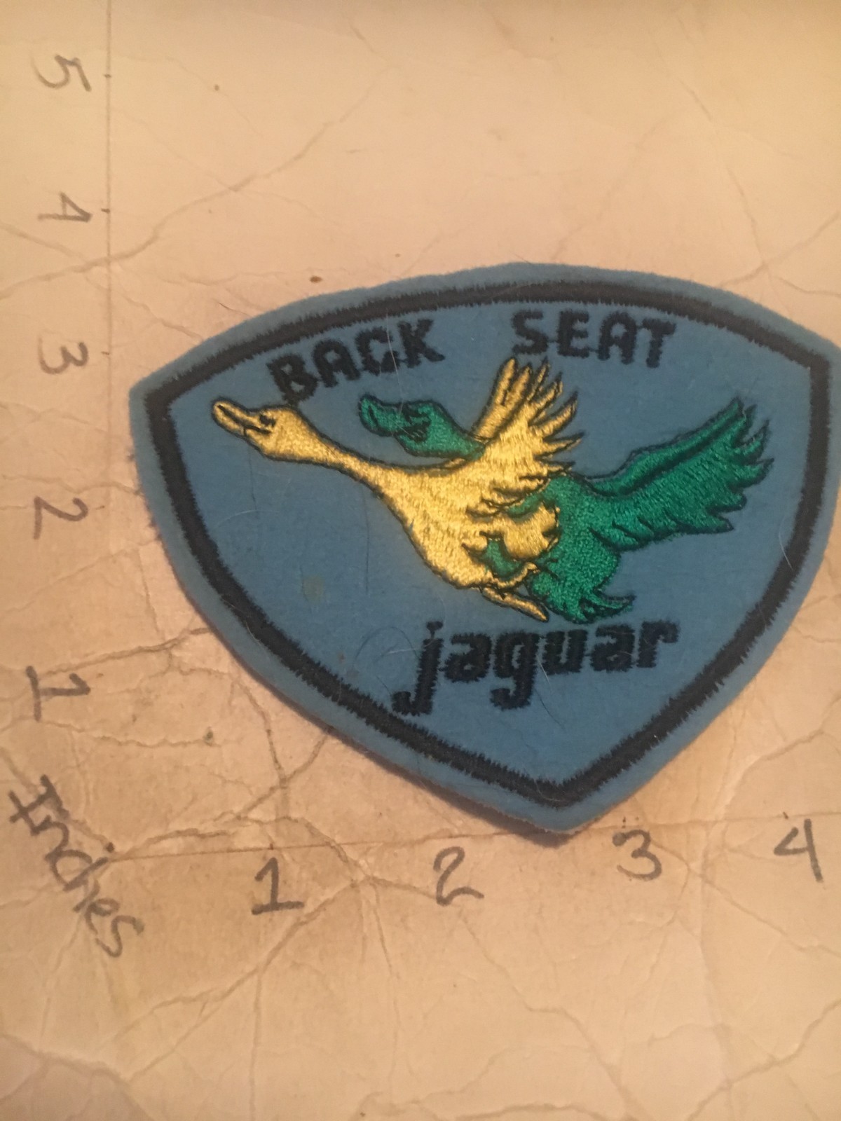 British Air Force? Back Seat Jaguar Squadron patch 9/10/25