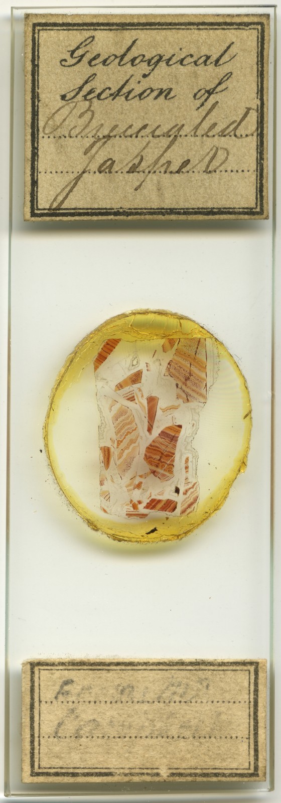 Antique Microscope Slide by Norman - Jasper - Science, Minerals