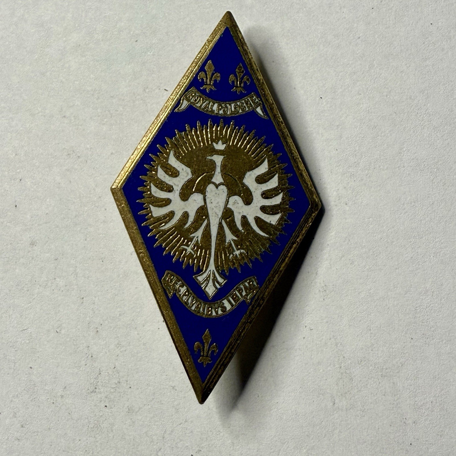 Indochina War French 5th Cavalry Reg Badge Royal Poland Enameled