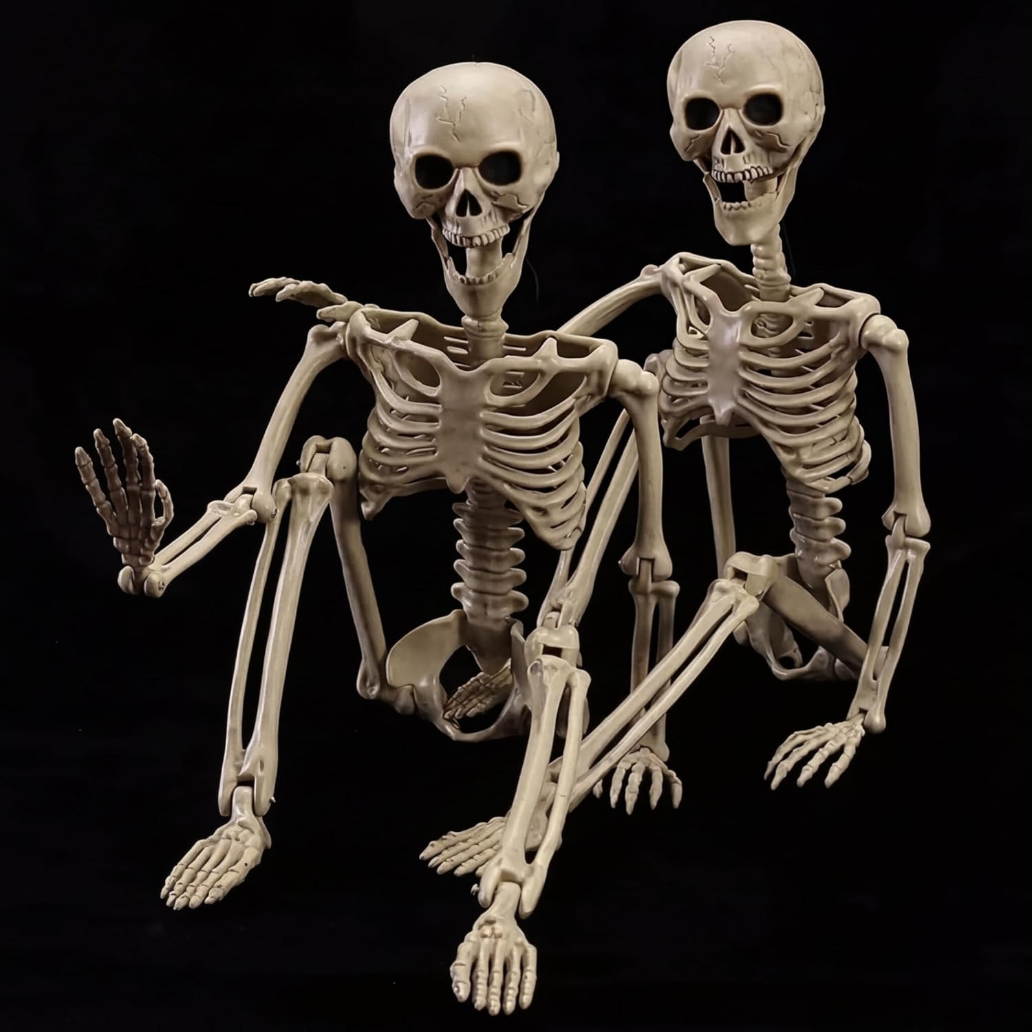 2-Pack 40" Pose-N-Stay Halloween Skeletons, Life-Size Full Body Realistic Posabl