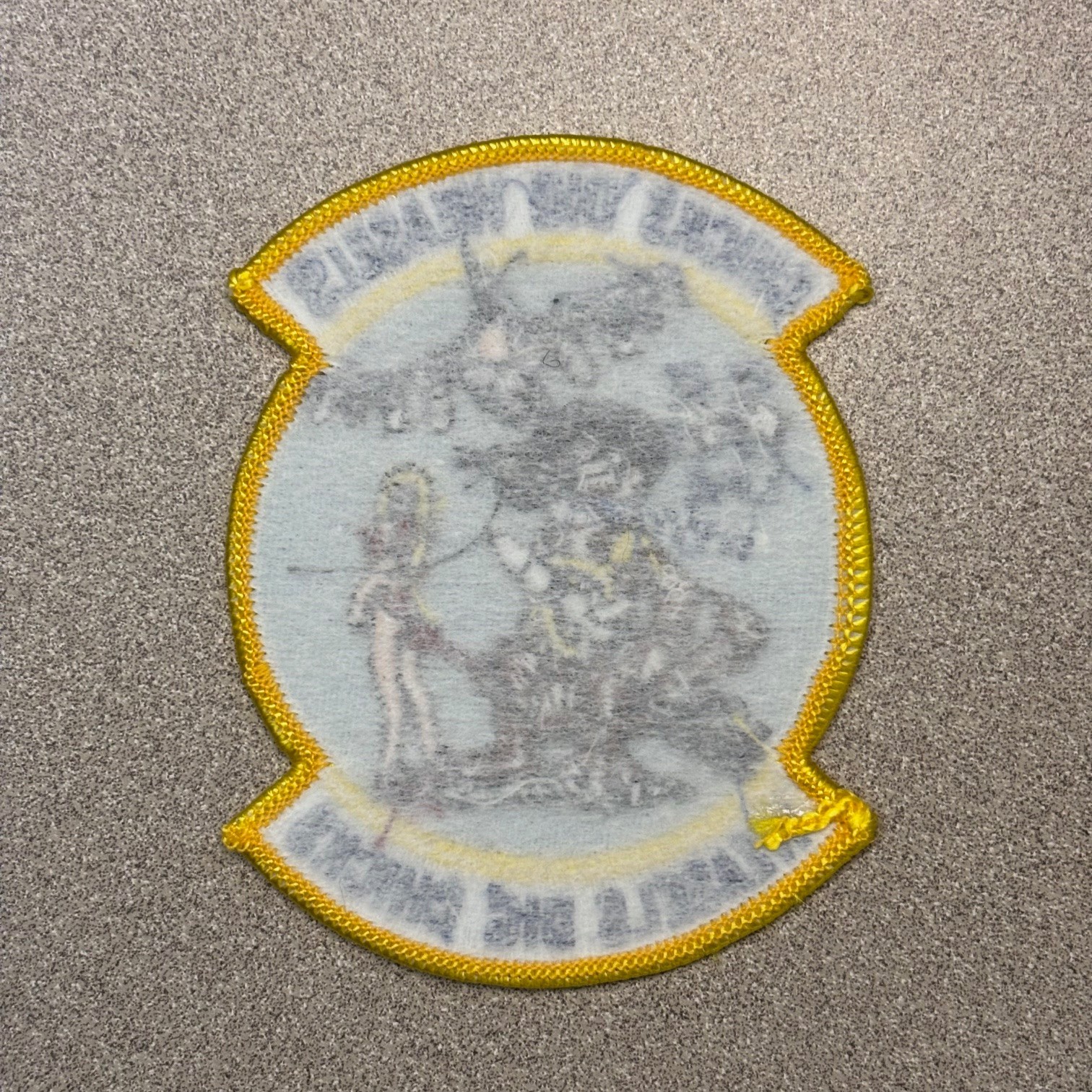 USAF 55th Fighter Squadron Wild Weasel LPA F-16C Air Force Patch