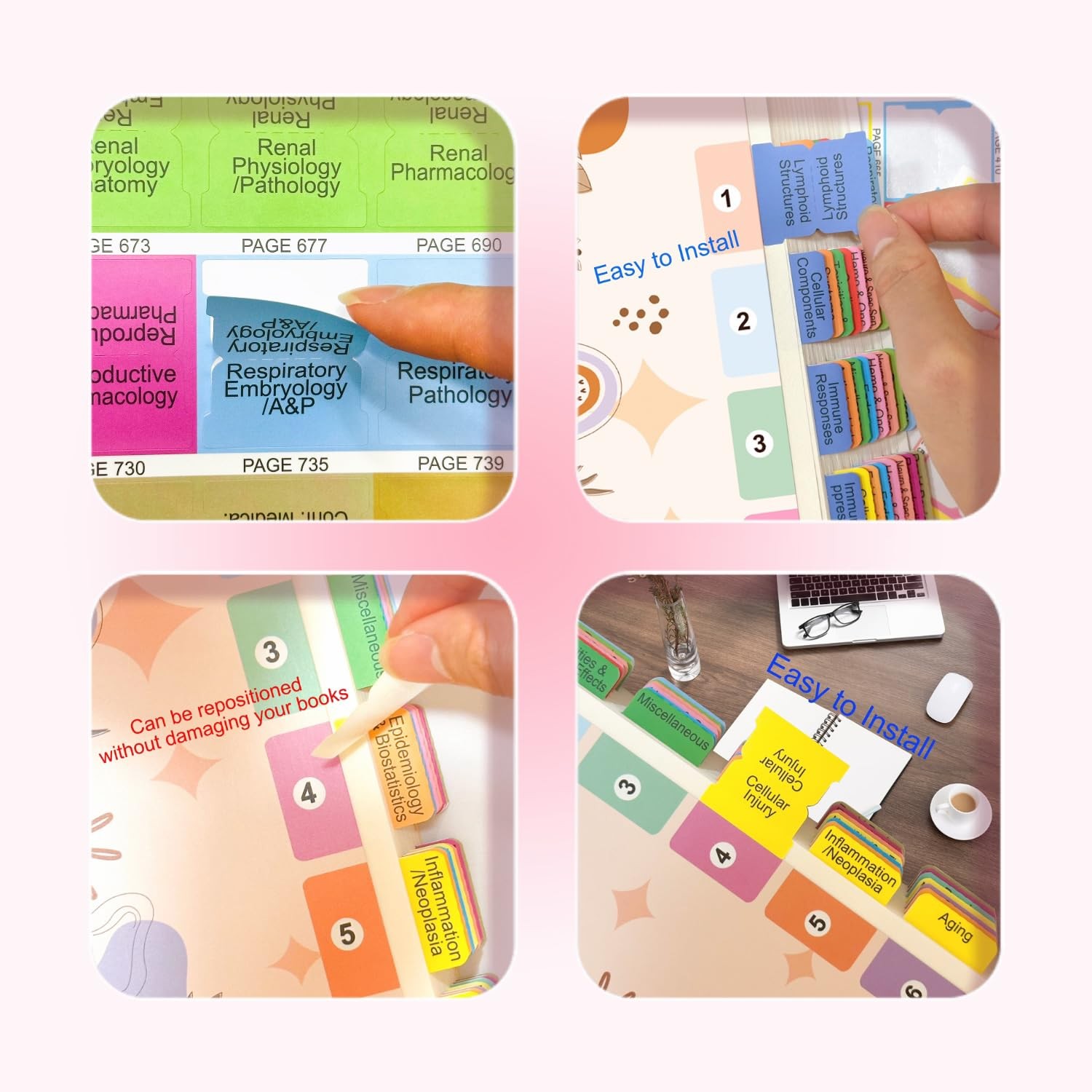 USMLE Step 1 2026 36th Edition Laminated Color Coded Index Tabs for First Aid