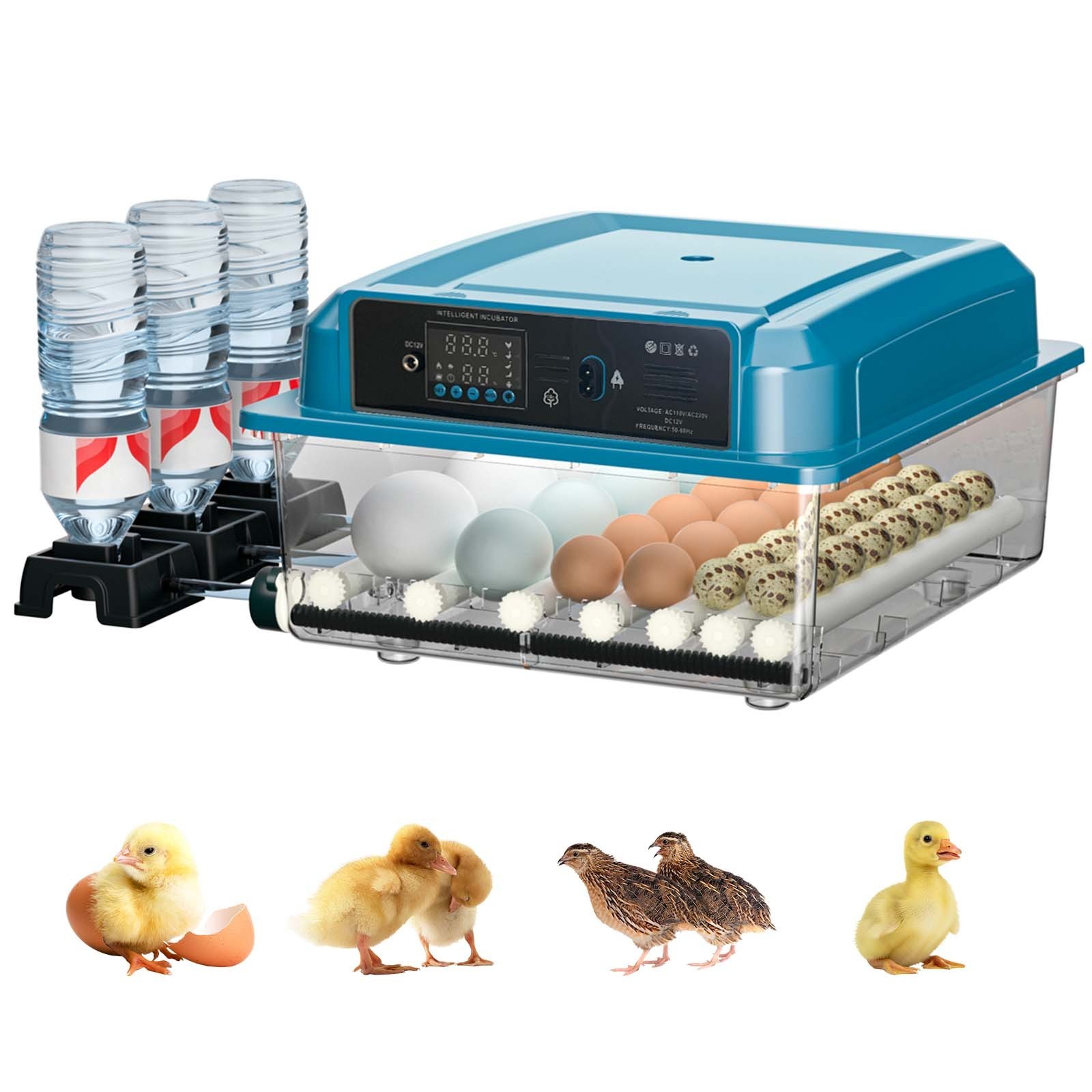 36 Eggs Digital Incubator Hatcher Temperature Control Fully Automatic Turning US