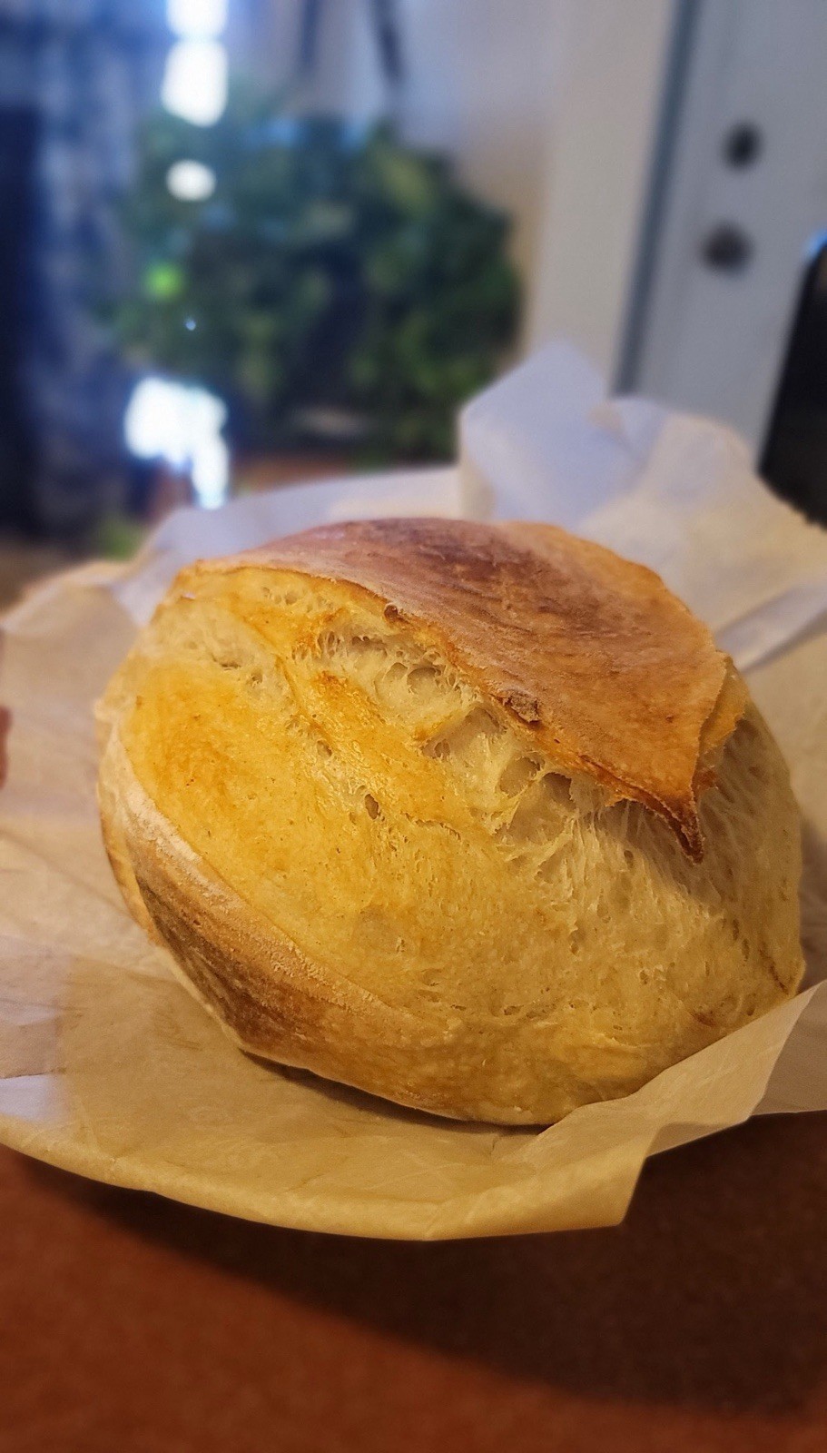 Infinity Dehydrated Sourdough