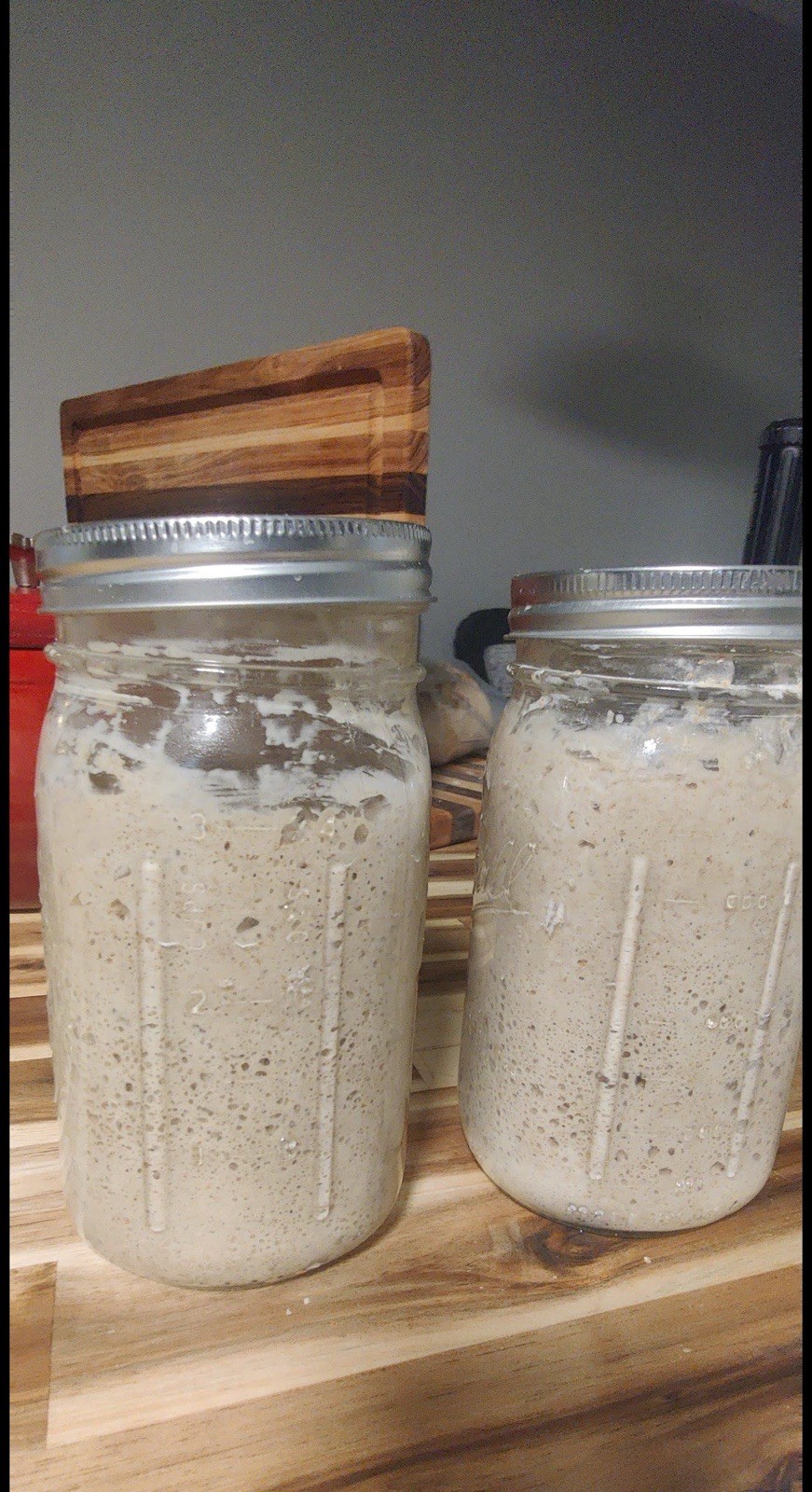 Infinity Dehydrated Sourdough