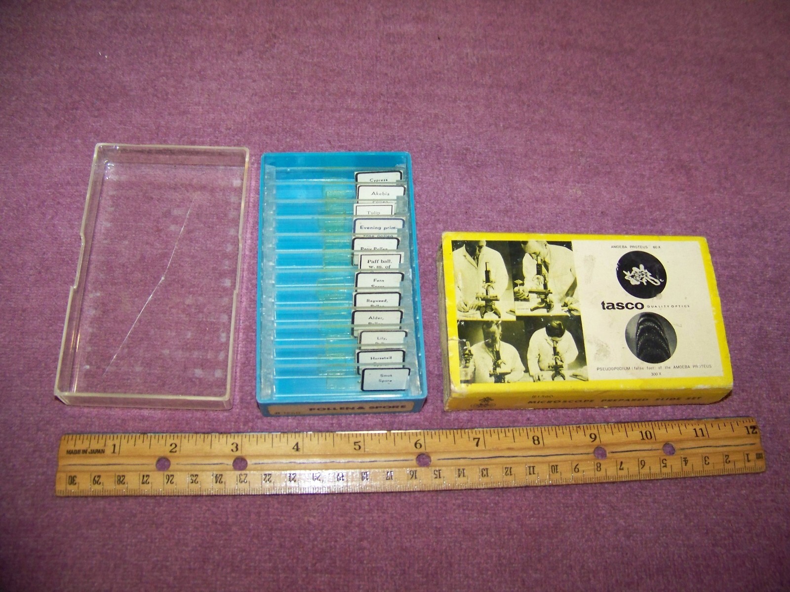 Vintage Microscope Slides Tasco Microscope Prepared Slide Set "Pollen & Spore"
