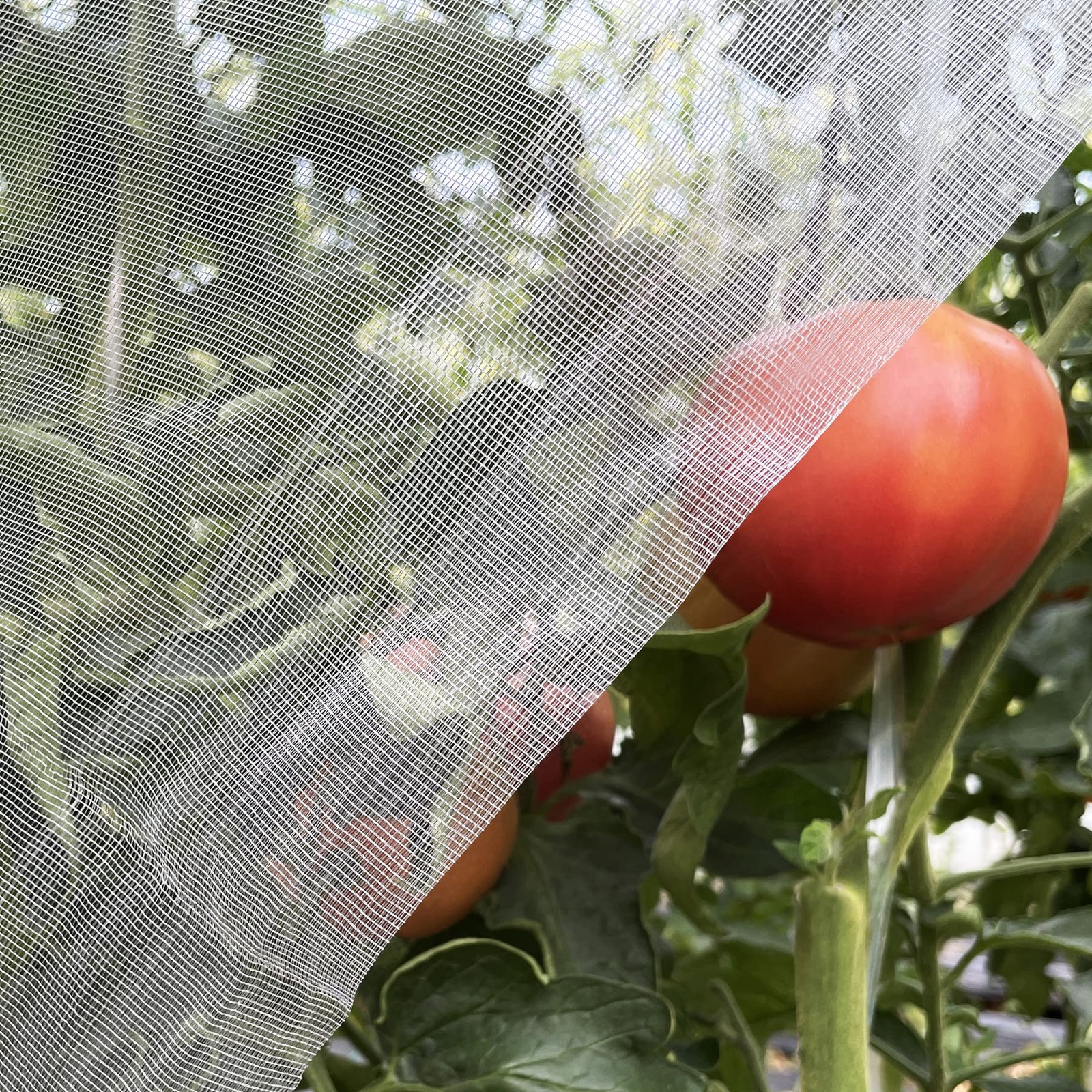 Ultra Fine Garden Netting 4'x10' Plant Pest Barrier Covers Bird 4'x10', White