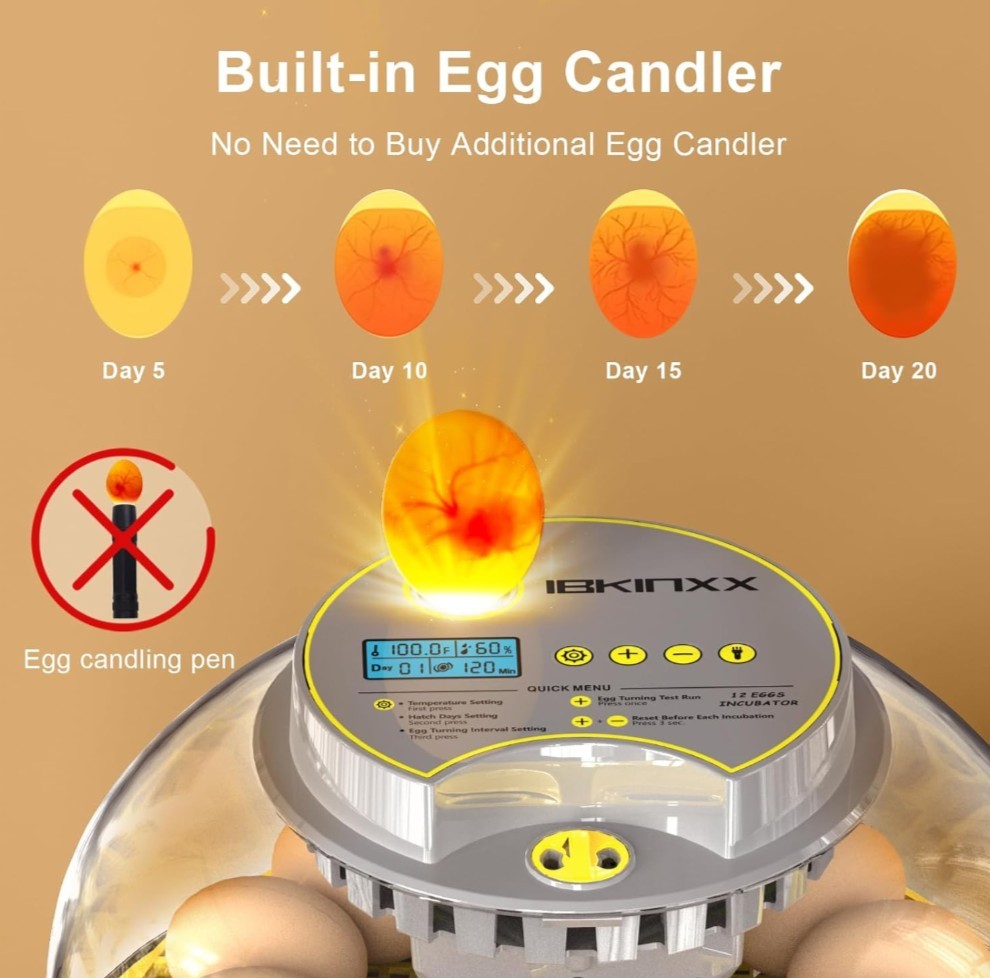 Incubator for Hatching Eggs-12 Egg Capacity, 2026 Upgraded Automatic Egg Turner