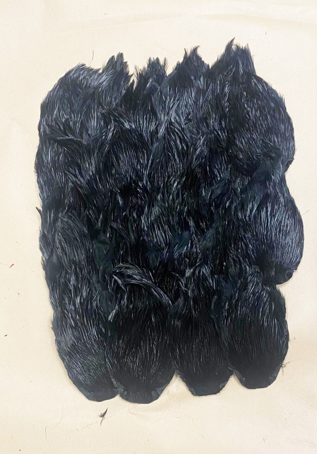 Dyed Indian Cock Cape - Superb Quality - Black Gordon Griffiths