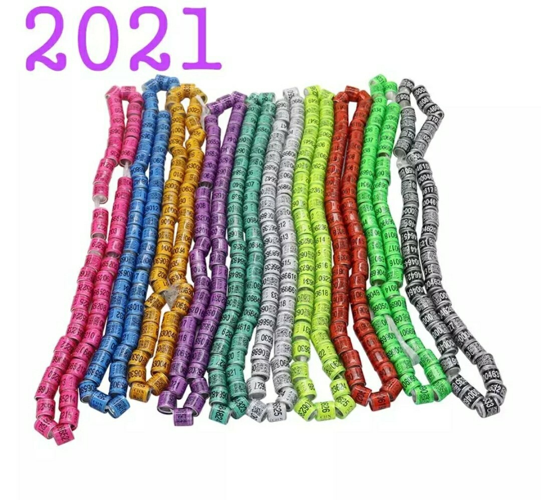 50 PIGEON RINGS 2022 y 2023. ANILLO D PALOMA2023. 10 DIFERRENT COLOR MULTICOLOR