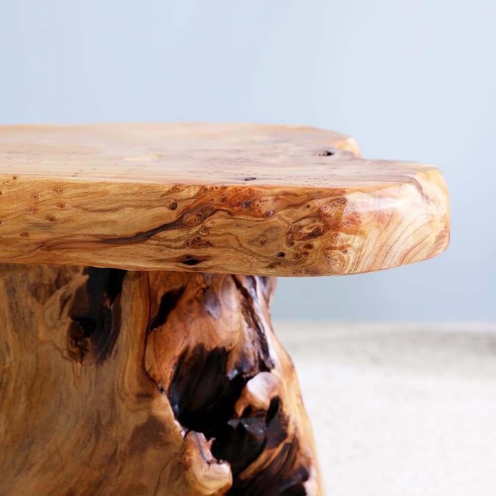 13.8" Live Edge Cedar Tree Stump Stool Handcrafted Solid Natural Wood Side Table