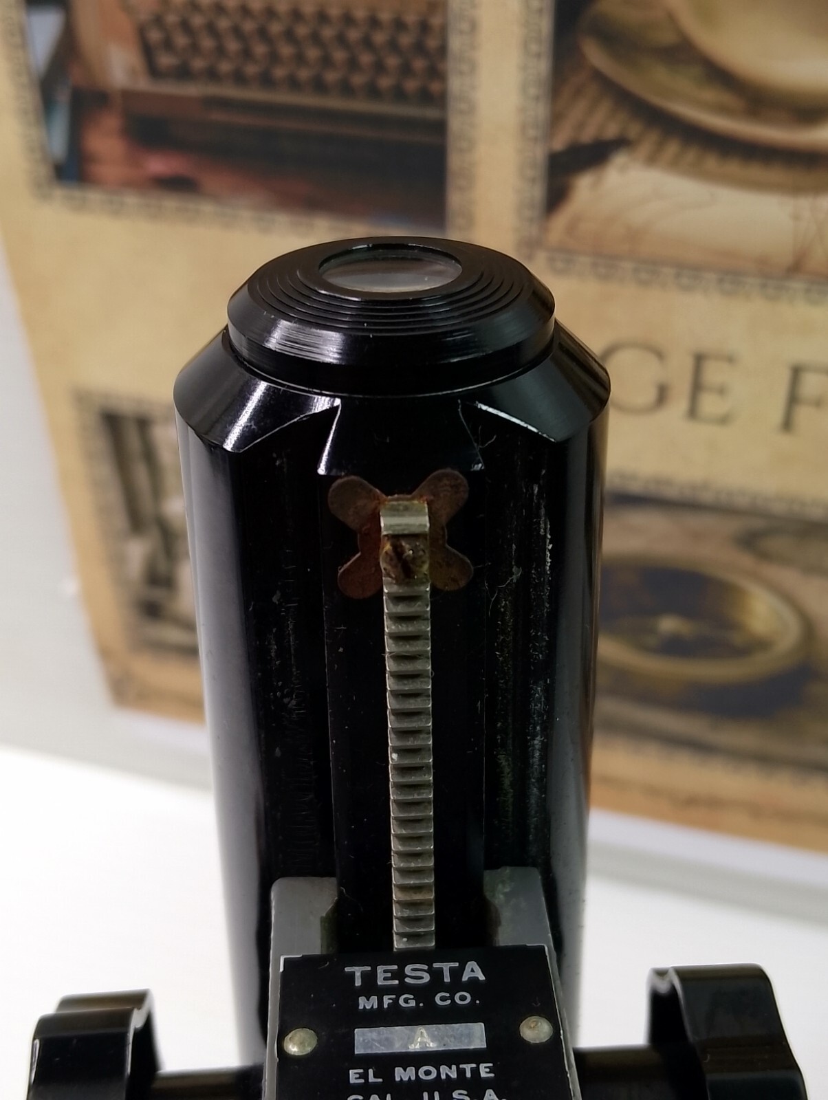 Testa Model A Widefield Vintage Microscope
