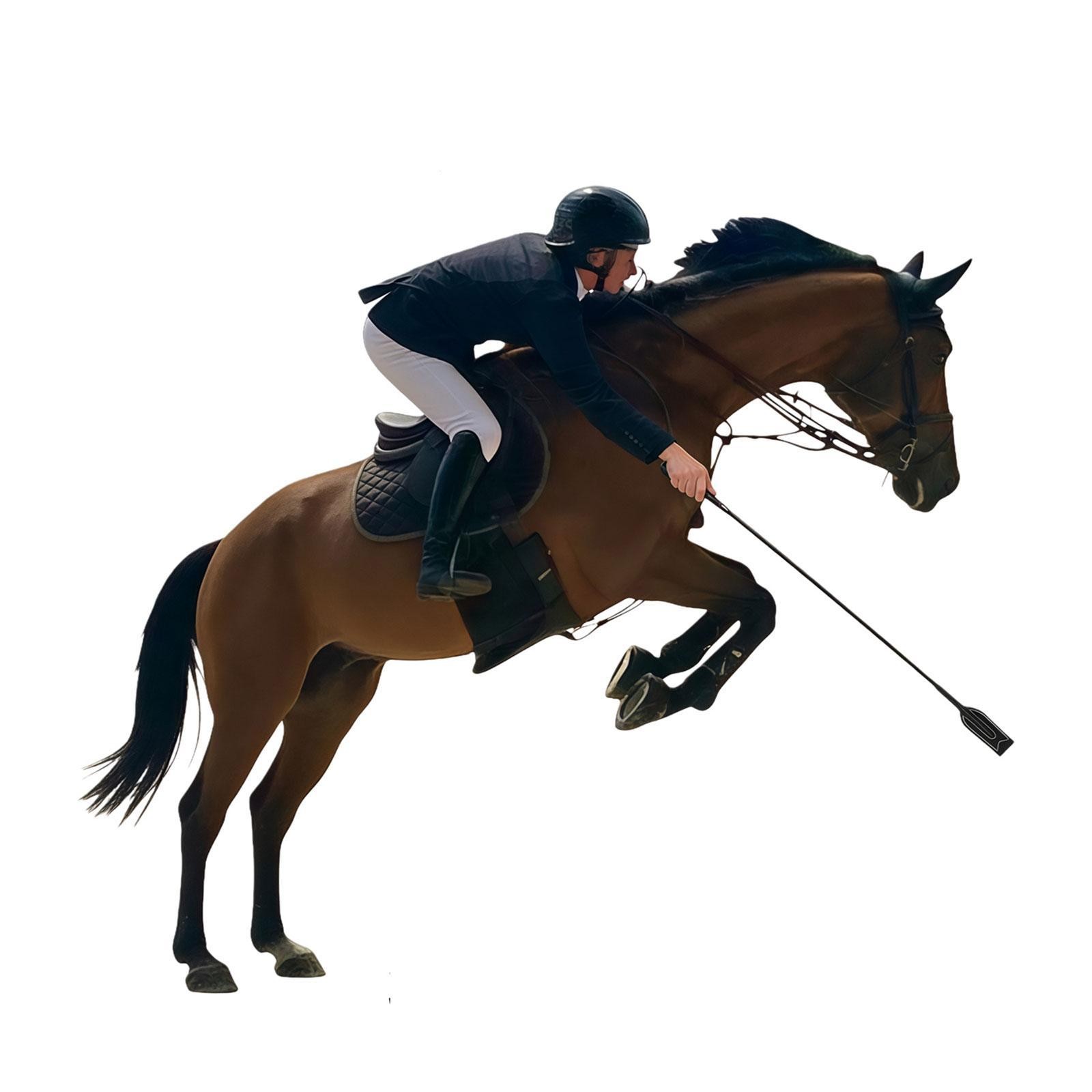 Horse Riding Crop Portable Training Aid Equestrianism Multipurpose Black
