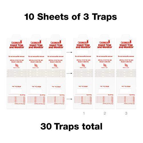 30 Brown Recluse Spider Traps (non-toxic)