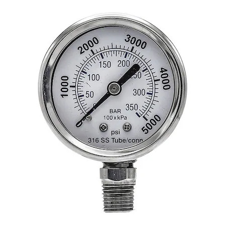 Pic Gauges Pro-301D-204R-01 Industrial Pressure Gauge,  0 To 5, 000 Psi,  2 In