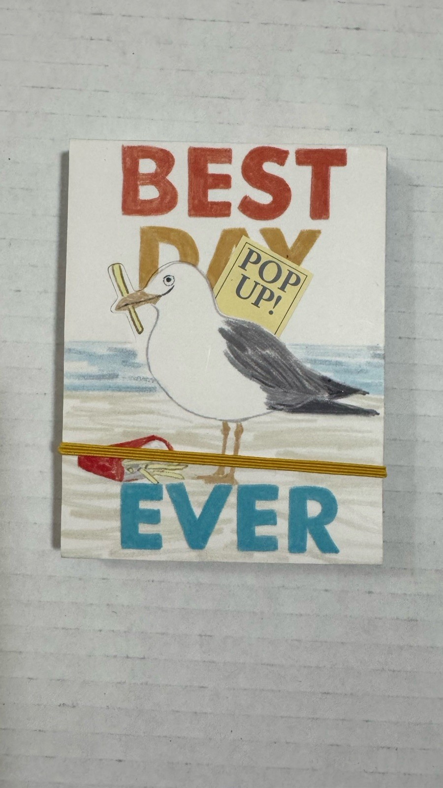MOLLY & REX POCKET NOTEBOOK SMALL 75 SHEETS BEST DAY EVER SEAGULL 35422 NEW