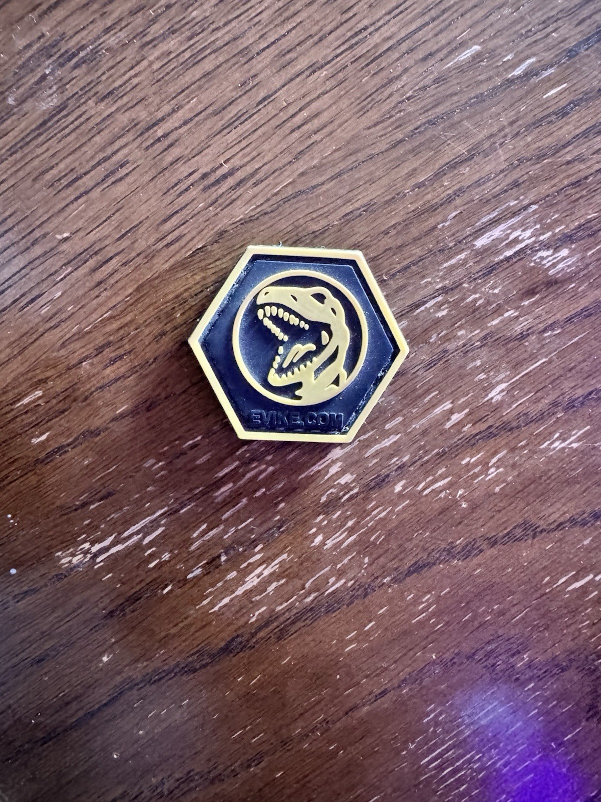 T-Rex Dinosaur Morale Patch