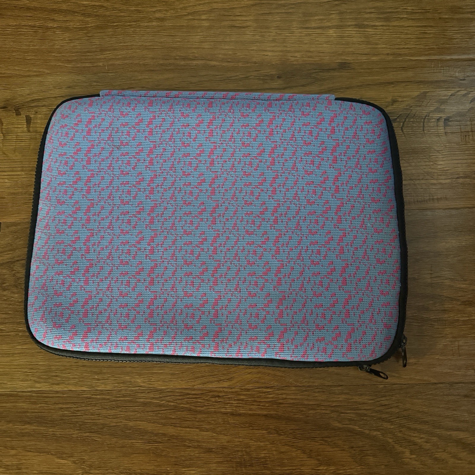 Urban Outfitters Padded Laptop Sleeve 13”-14” Zipper Closure Blue and Pink
