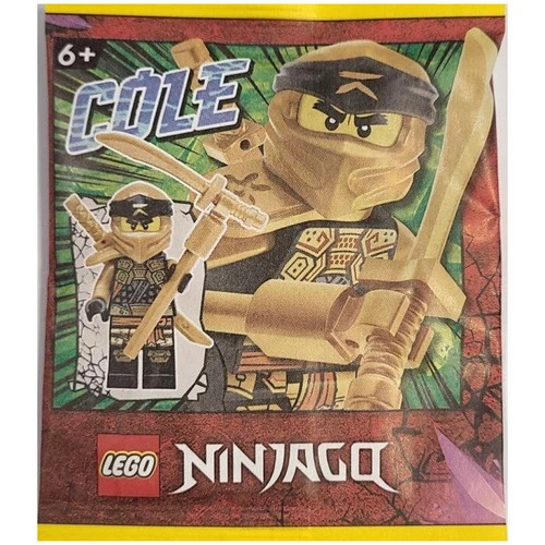 #001 - LEGO Ninjago Golden Cole Paper Bag DROP