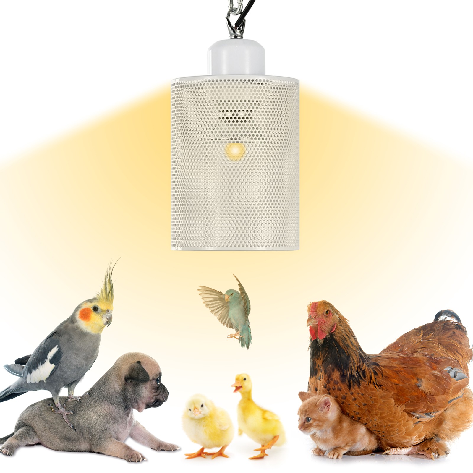 Adjustable Chicken Coop Heat Lamp for Dog Cat Bed Reptiles Pet Heater Lampshade