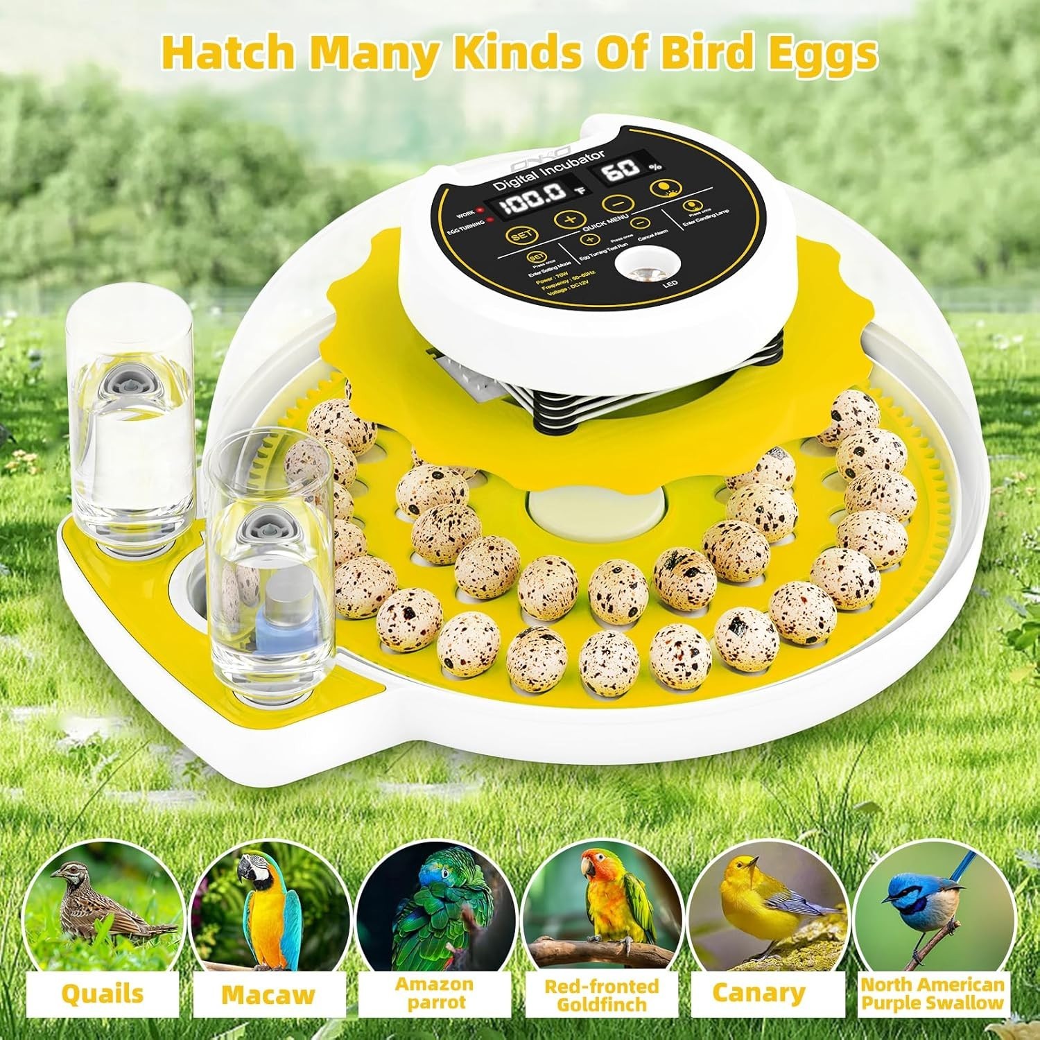 Quail Egg Incubator for Hatching Eggs with Automatic Egg Turning and Humidity...