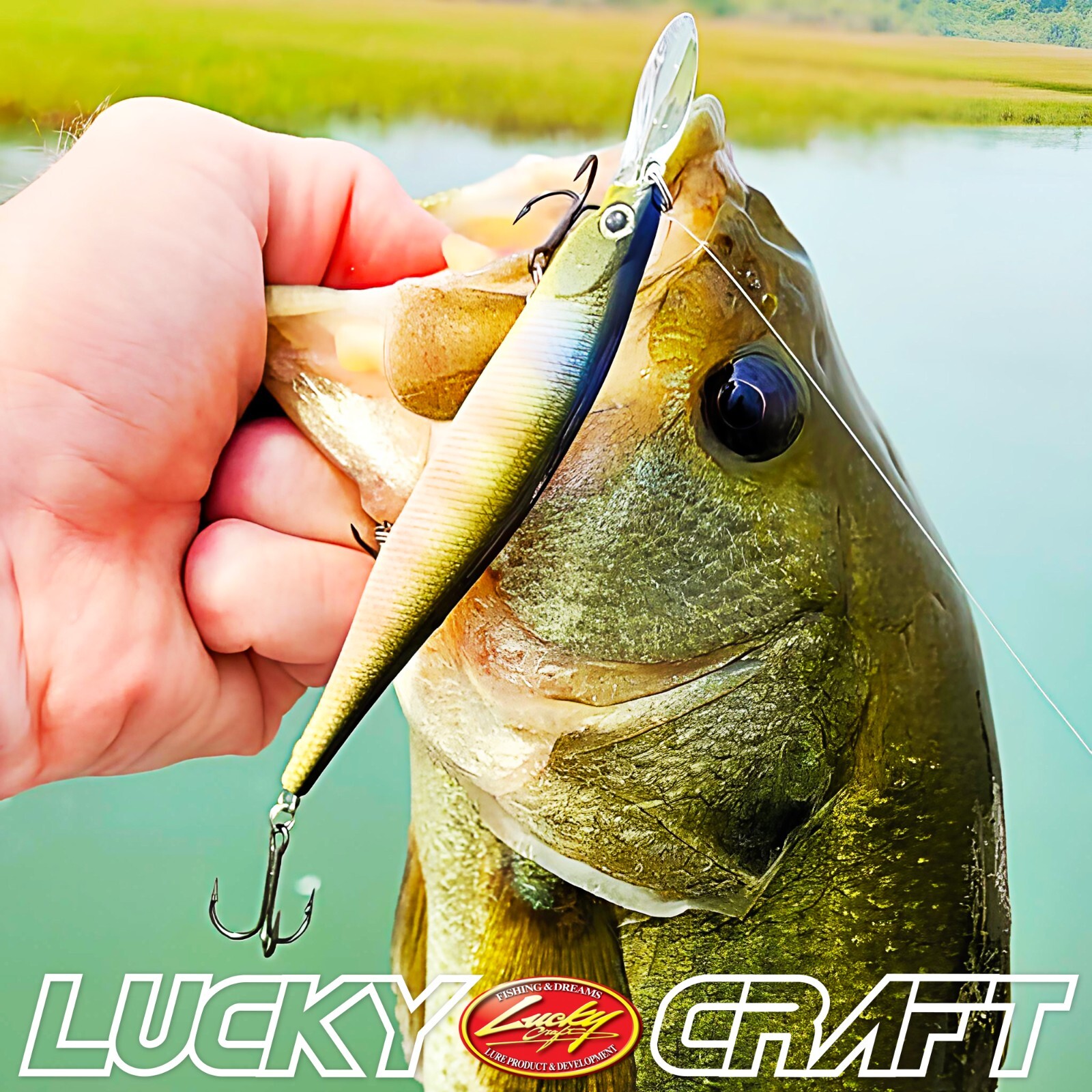 LUCKY CRAFT Lightning Pointer 100DD - 371 Bone Pro-Blue (1qty) Jerkbait