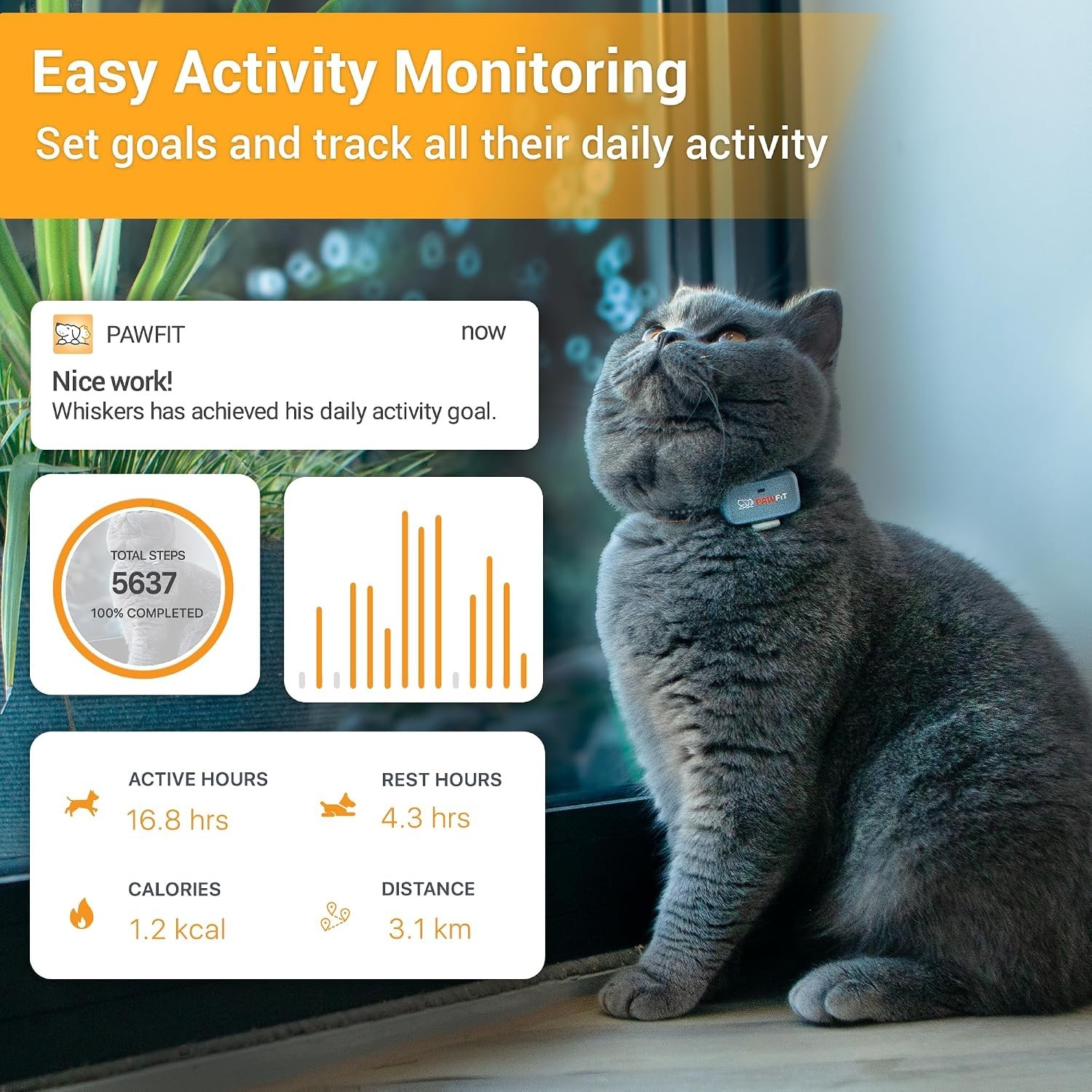 Lite for Cats 4g GPS Tracker | Ultra-Small 18g Design | Real-Time Tracking |...