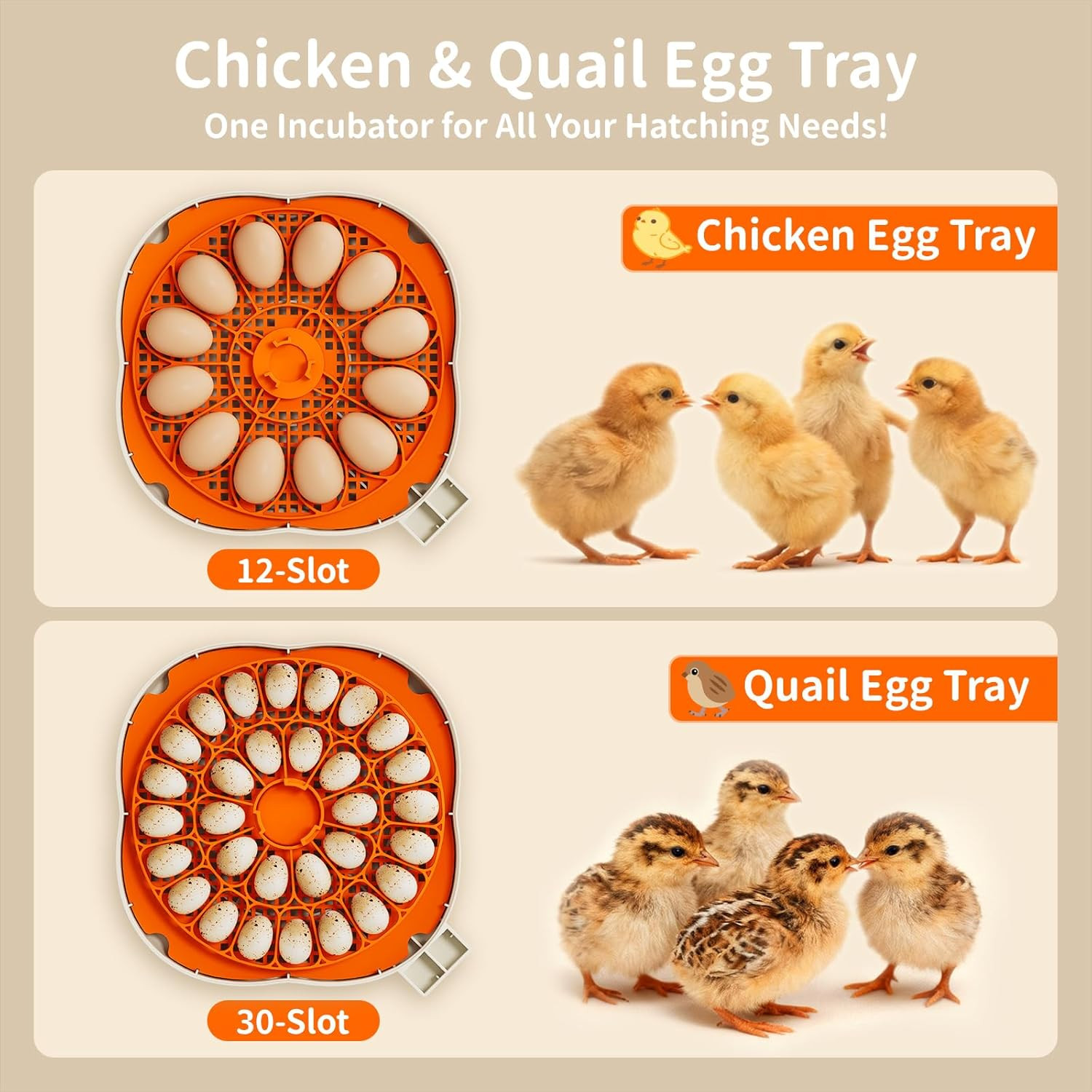 Egg Incubators for Hatching Eggs, Temperature and Humidity Control, Automatic Eg