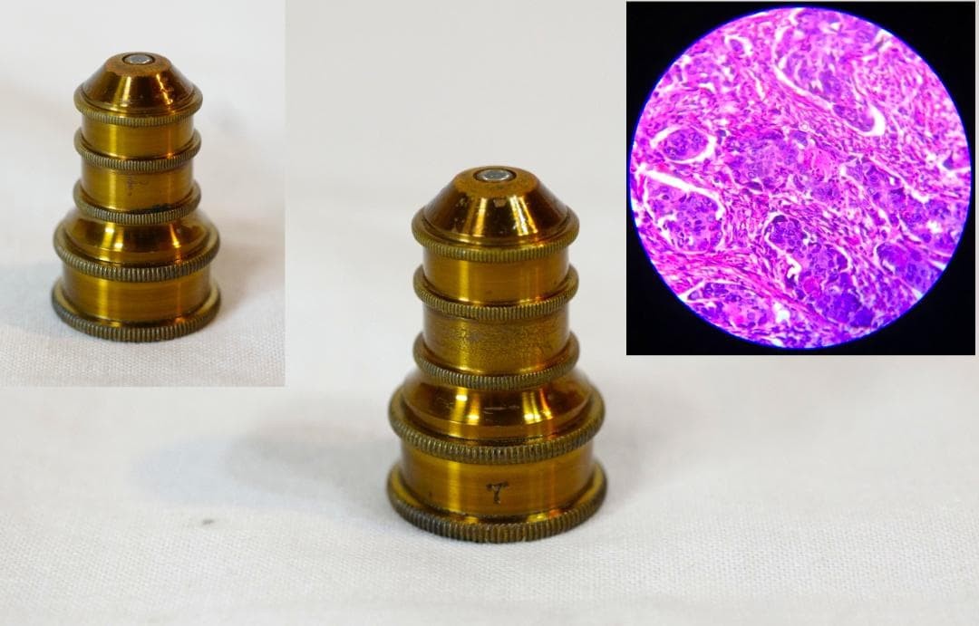 microscope antique collectible Ernst Leitz Stand V Microscope SN.1557 1873