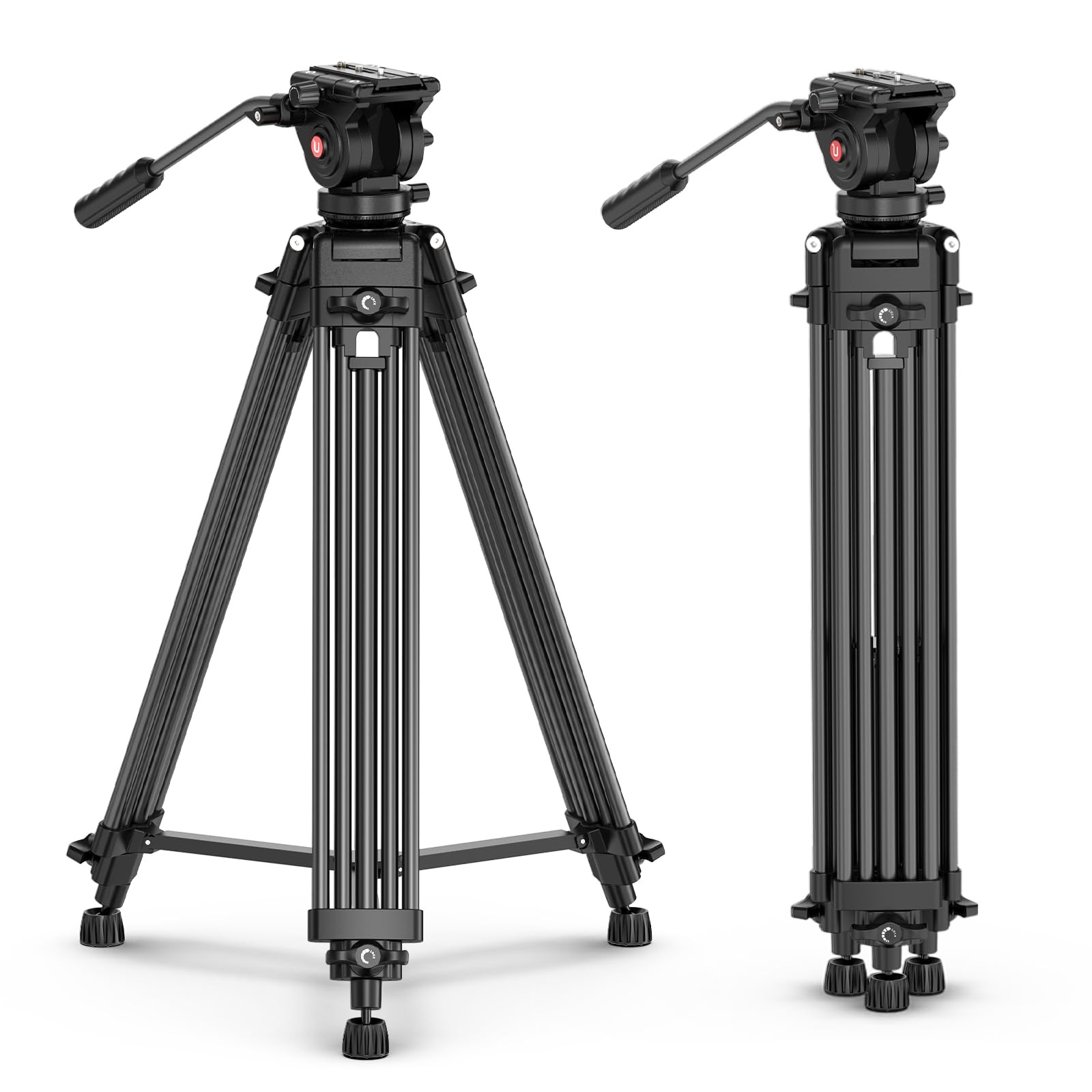 MT-81 Video Tripod with 360 Degree Fluid Head, 61inch/155cm Heavy Duty Alumin...