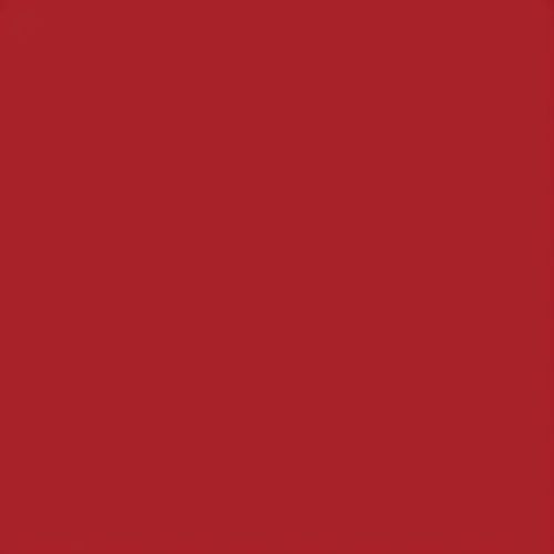 CustomSet Red MX-BDR Procion Reactive MX Dye Item 336