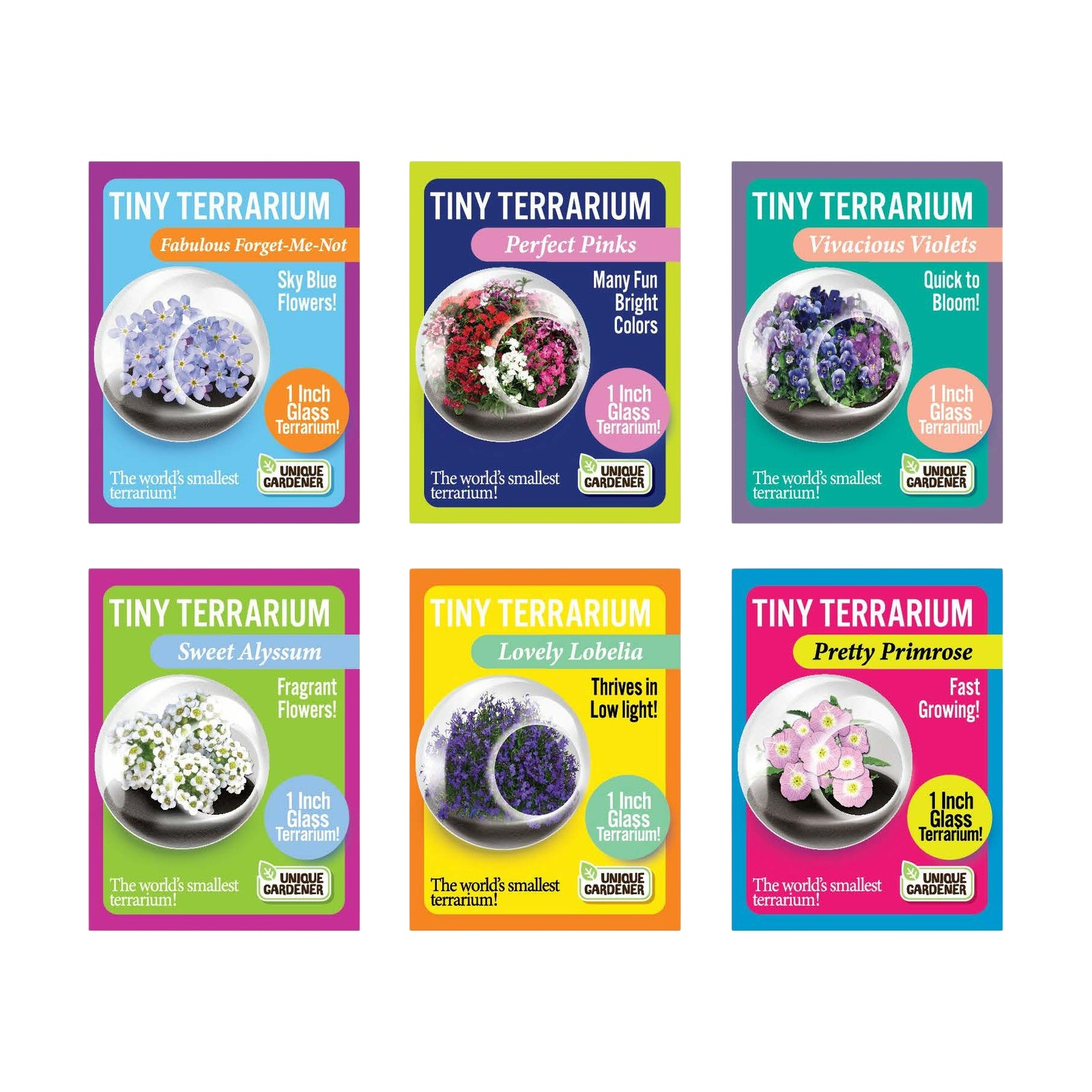 New - Unique Gardener Tiny Terrarium - 6 Variety Flowering Pack: 1 of Each