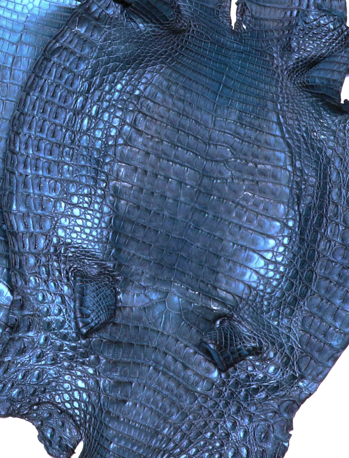 Caiman Skin Leather Blue Jean Color Matt (100% Genuine skin)