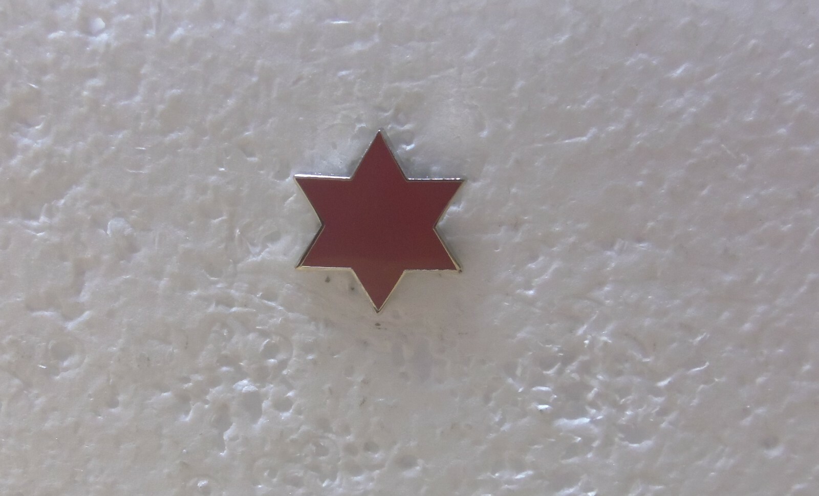 US Army - 6th Infantry Division Pin