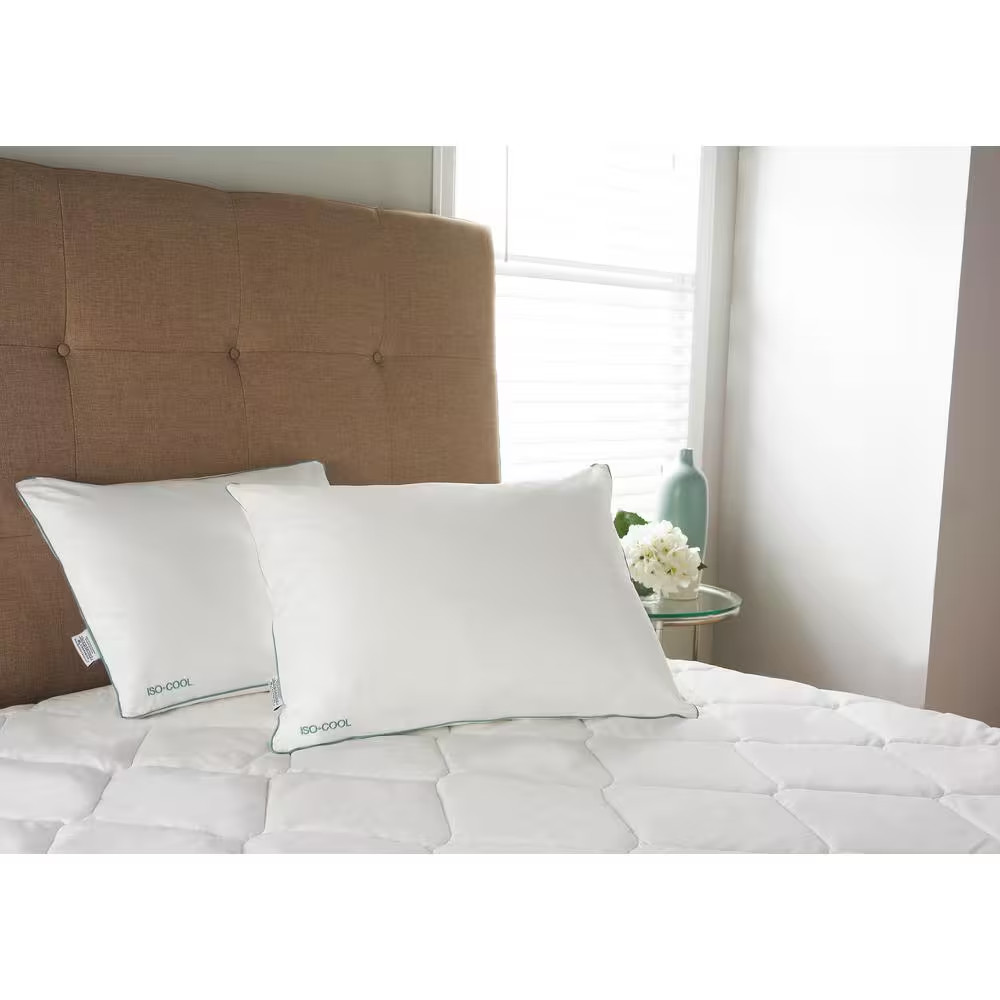 Memory Foam Traditional Pillow