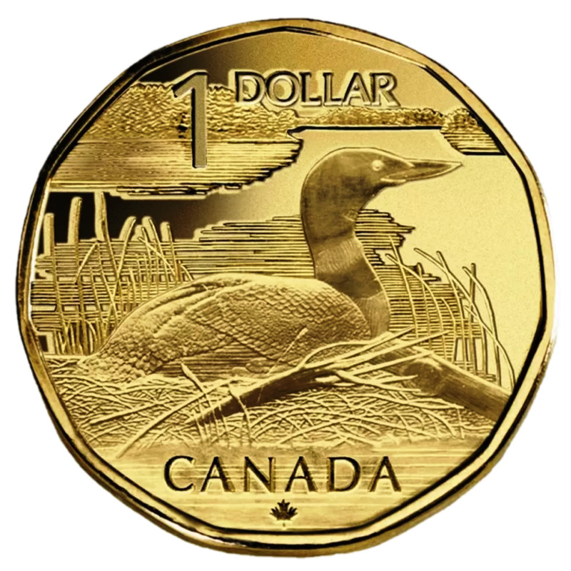 🇨🇦 Very Rare Canada $1 One Dollar Coin ELUSIVE LOONIE, 2004