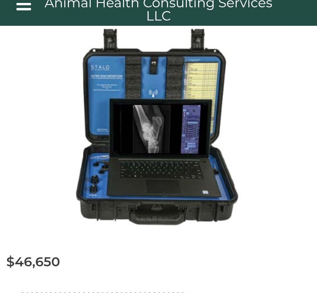 rayos x veterinary