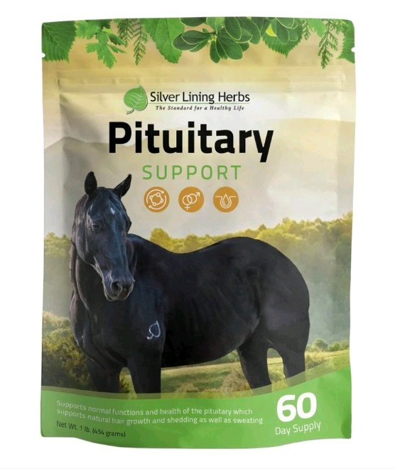 Silver Lining Herbs Pituitary  Support For Horses