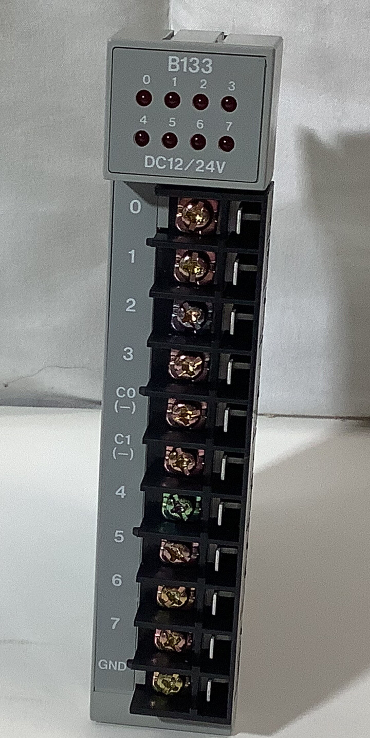 GOULD B133 Input Module 12/24VDC NEW!!