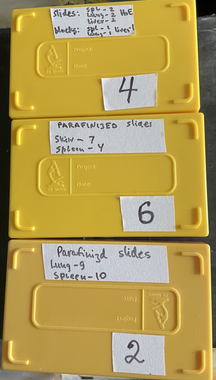 Microscope storage boxes with  mouse tissues slides