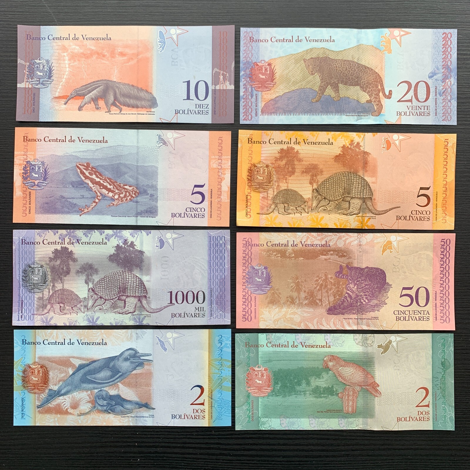 8 PCS Venezuelan Animal Banknotes Lot. Venezuela Paper Money Currency Set. UNC