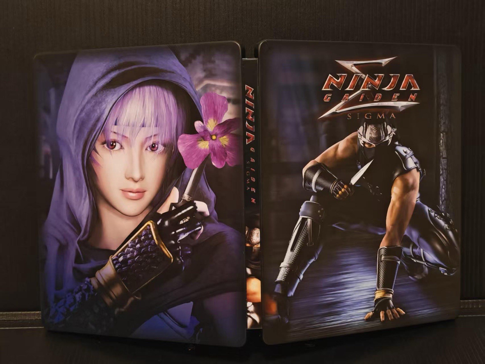 Ninja Gaiden Sigma Custom Made Steelbook/Steelup Case PS3/Xbox (No Game) New