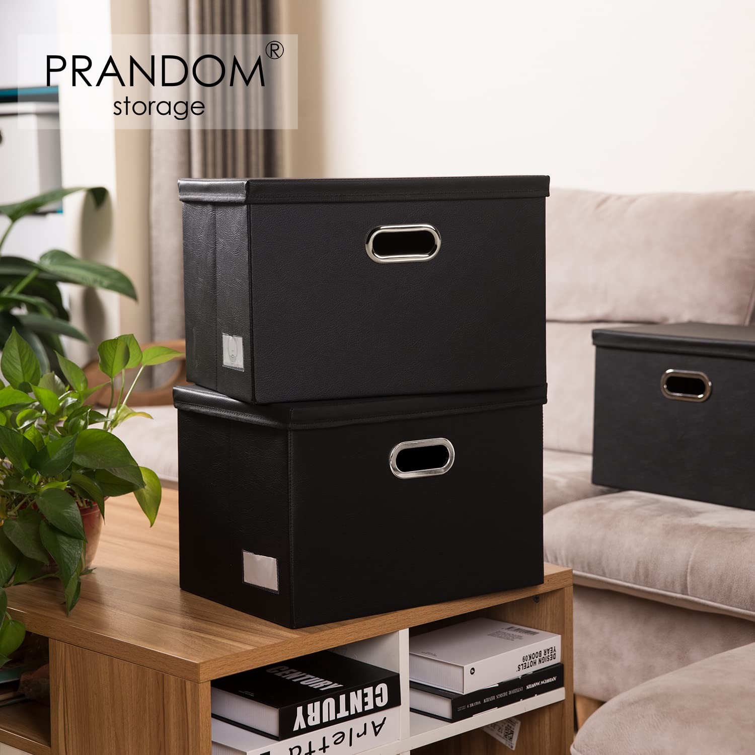 PRANDOM Foldable Storage Bins with Lids [5-Pack] Medium(5-Pack), Black