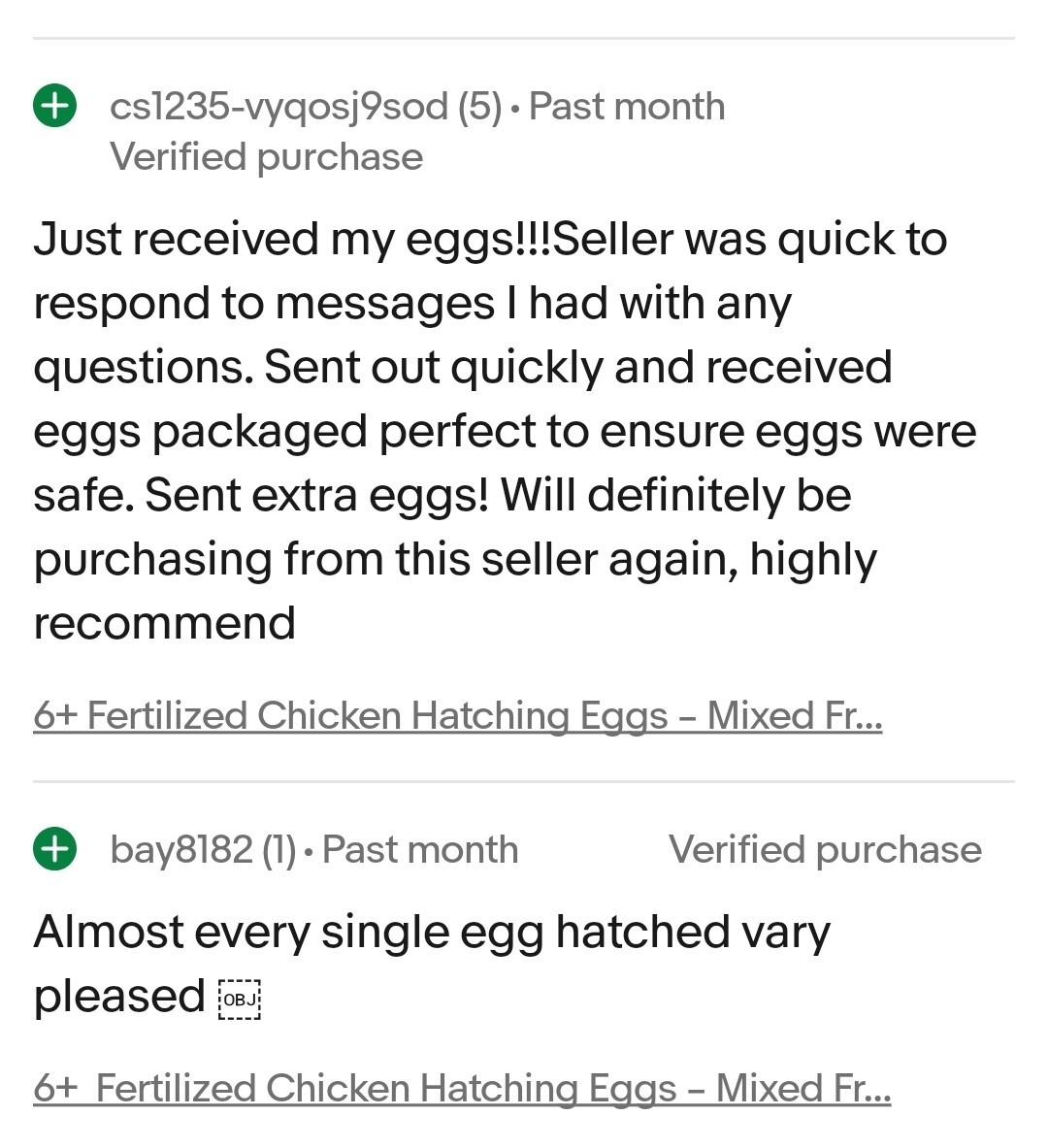 6+ Fertilized Blue & Olive Chicken Eggs