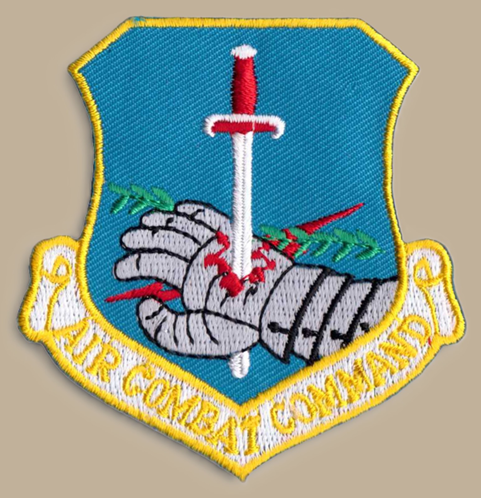 US Air Force AIR COMBAT COMMAND Joint Base Langley-Eustis Virginia [AF-003]