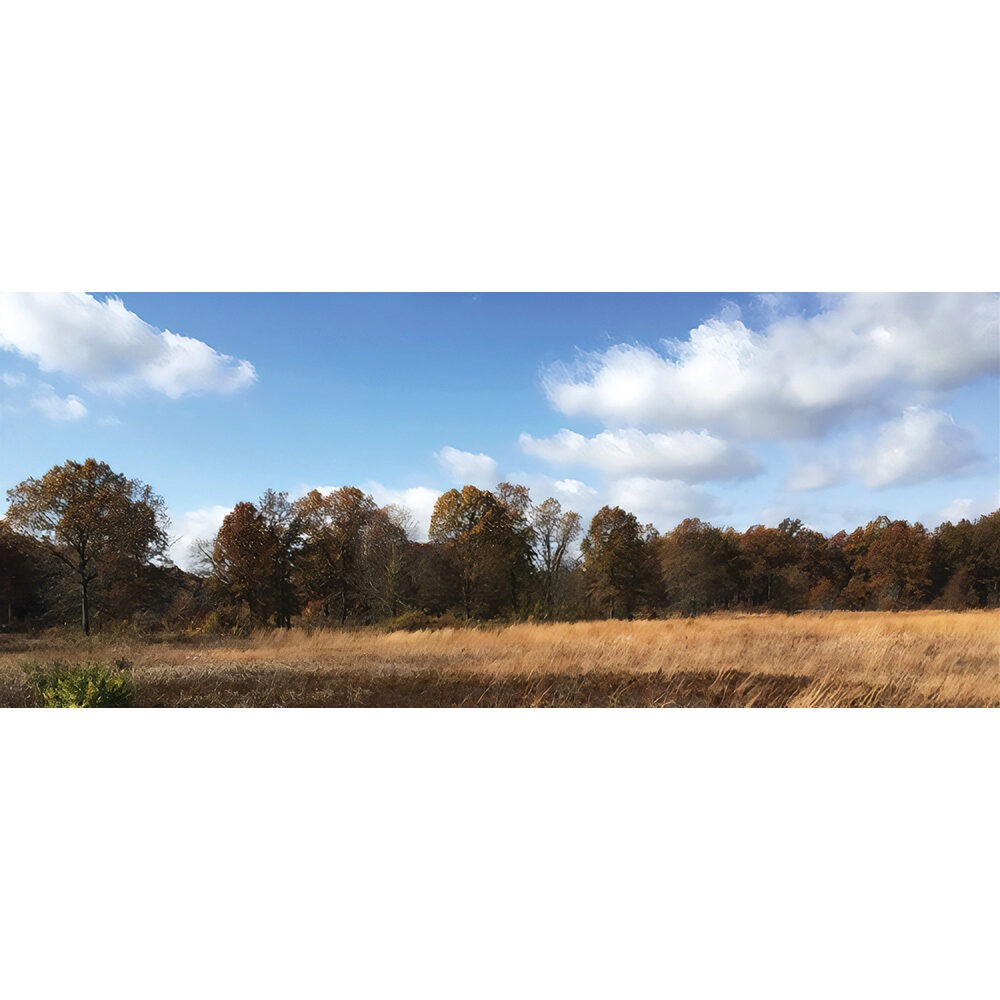 Open Field Scenic Backdrop - 31W x 13 H WILLIAM BRITAIN 51102